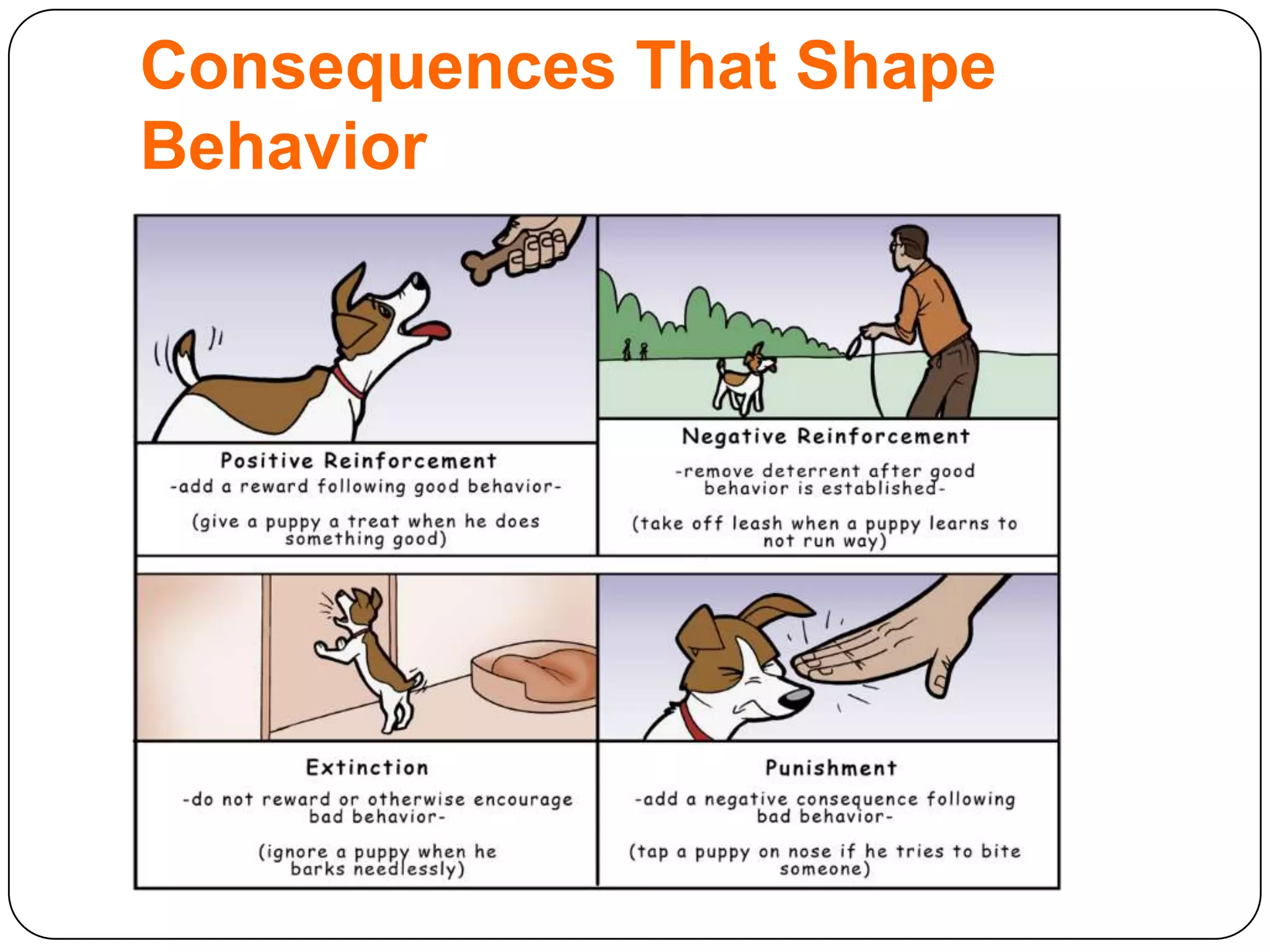 Consequences That Shape
Behavior

 