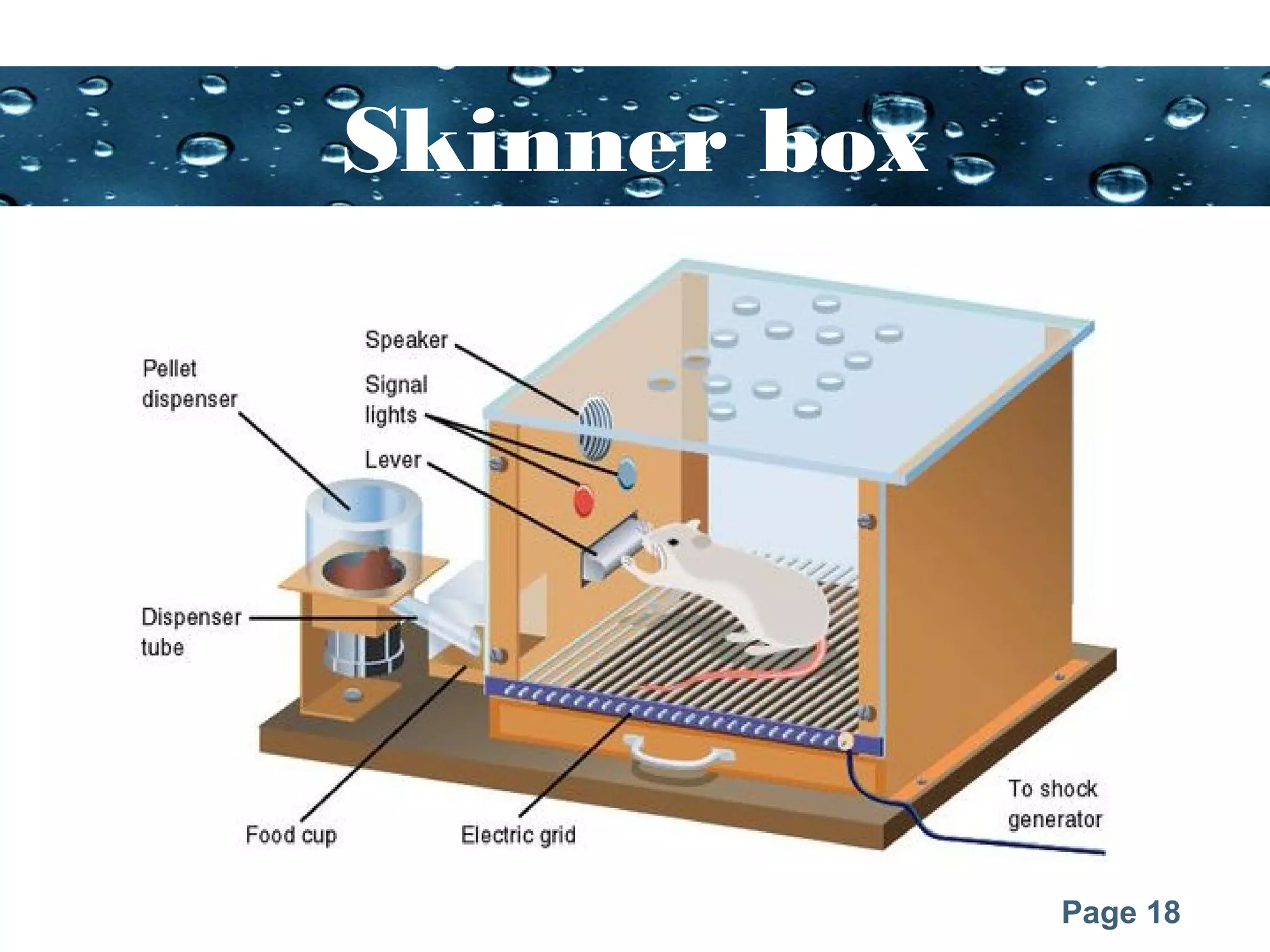 Page 18
Skinner box
 