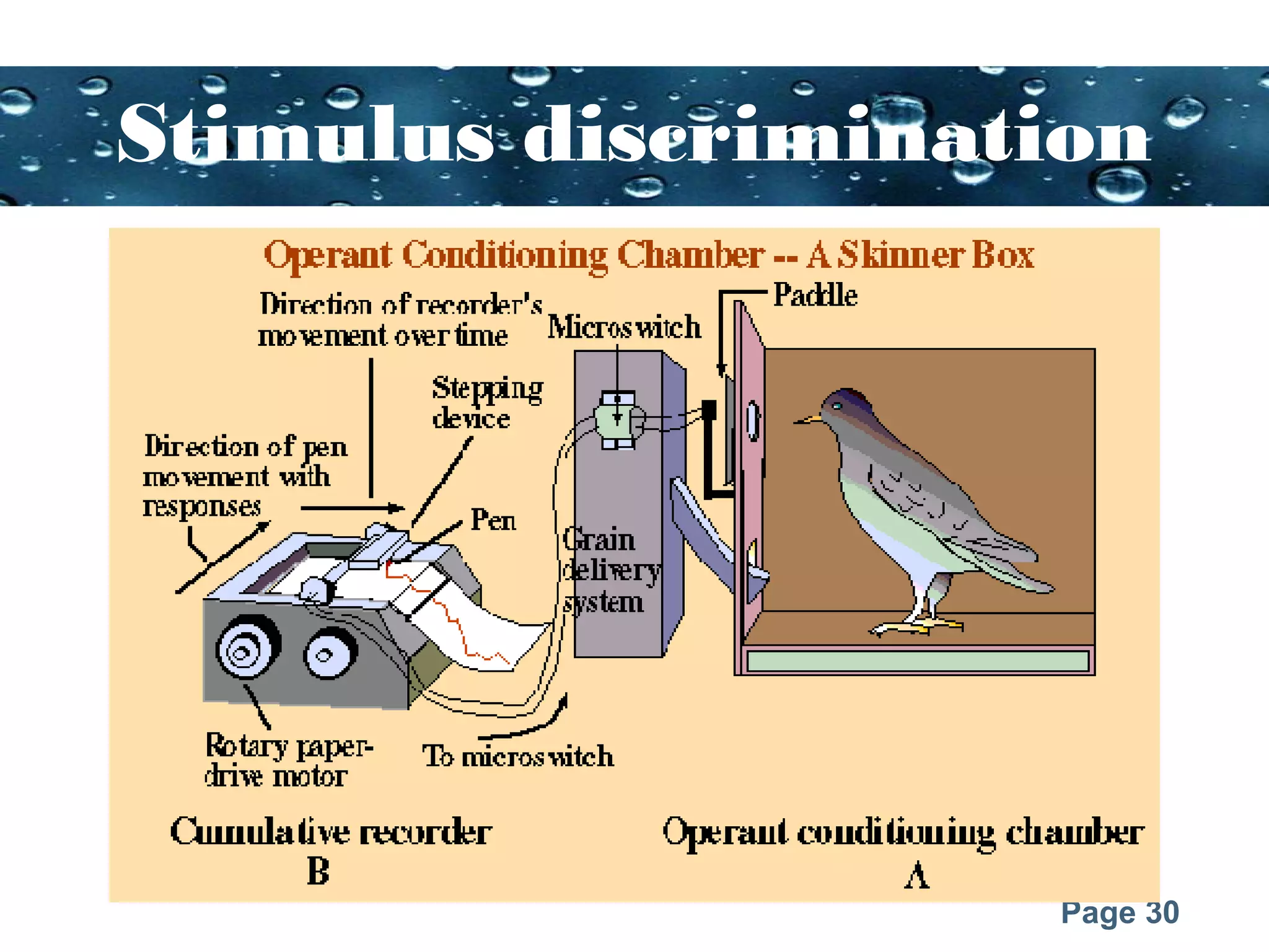 Page 30
Stimulus discrimination
 