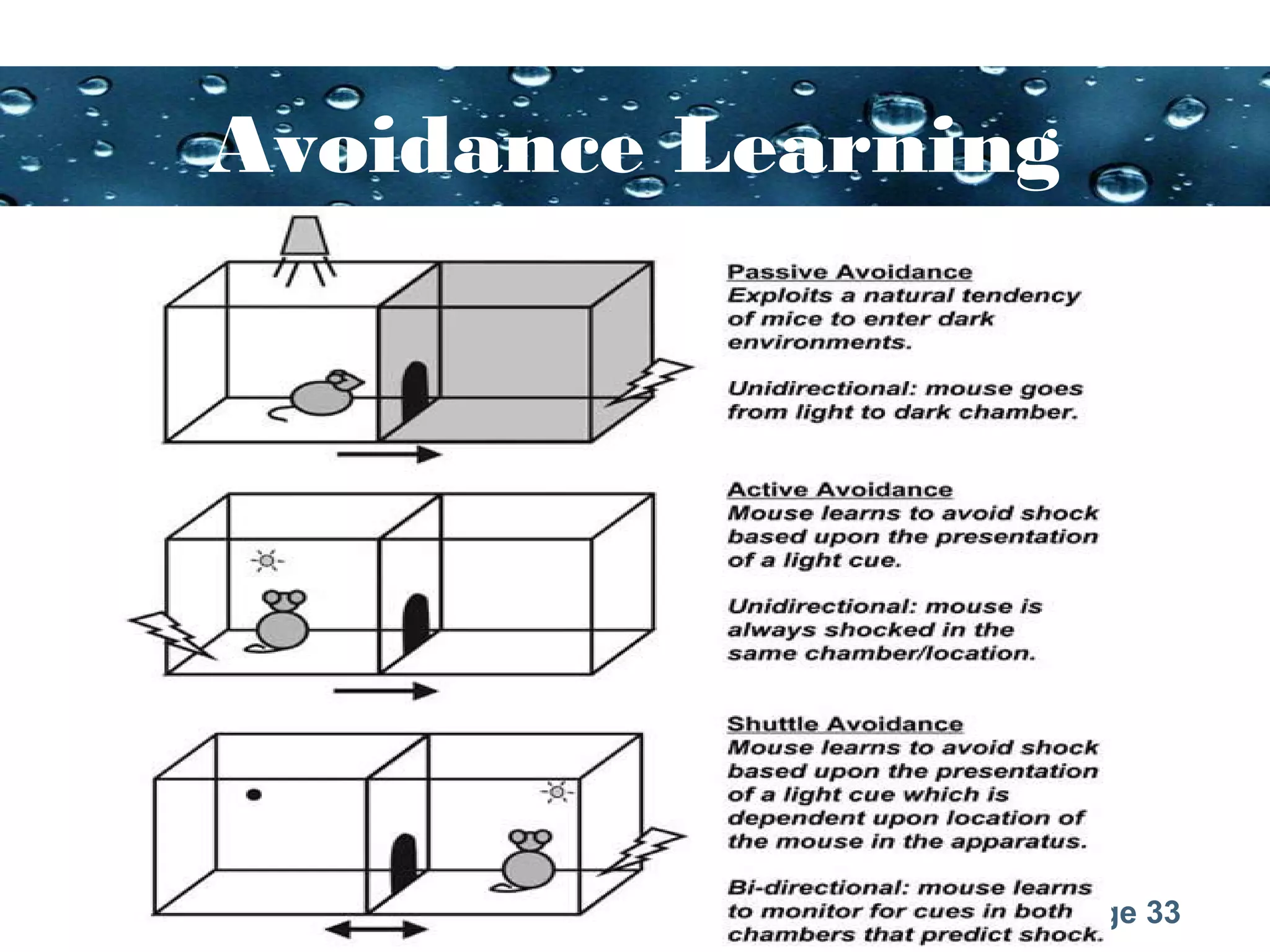 Page 33
Avoidance Learning
 