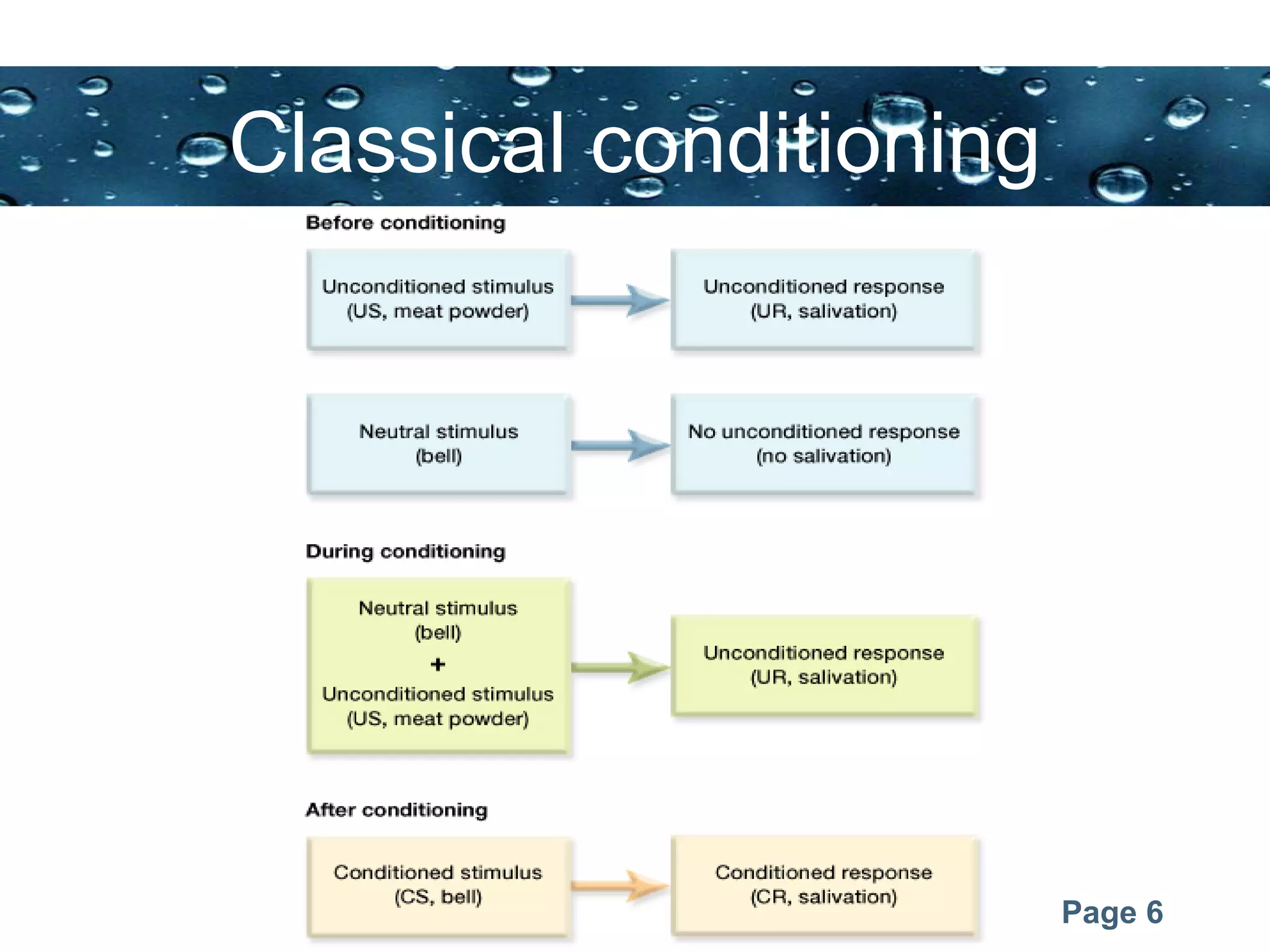 Page 6
Classical conditioning
 