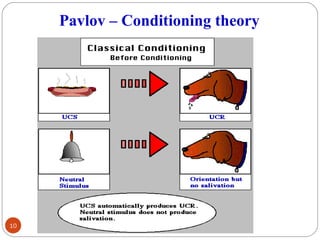 1100 
Pavlov – Conditioning theory 
 