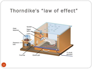 1155 
Thorndike's “law of effect” 
 