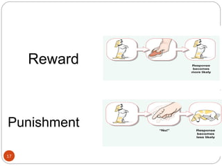 Punishment 
1177 
Reward 
 