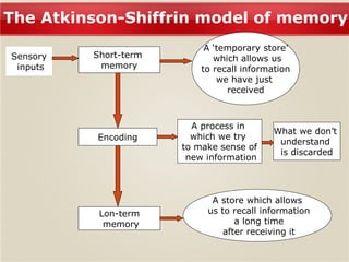 The Atkinson-Shiffrin model of memory 
Sensory 
inputs 
Short-term 
memory 
5533 MS.DEBERAL,SEGI K.L 
A ‘temporary store’ 
which allows us 
to recall information 
we have just 
received 
Encoding 
A process in 
which we try 
to make sense of 
new information 
What we don’t 
understand 
is discarded 
Lon-term 
memory 
A store which allows 
us to recall information 
a long time 
after receiving it 
 