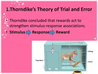 1.Thorndike’s Theory of Trial and Error
• Thorndike concluded that rewards act to
strengthen stimulus-response associations.
• Stimulus Response Reward
 