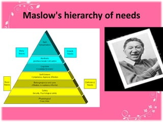 Maslow's hierarchy of needs
 