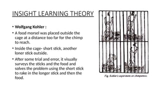 LEARNING THEORIES RELEVANT IN PSYCHOLOGY .pptx