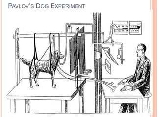 PAVLOV‟S DOG EXPERIMENT
 