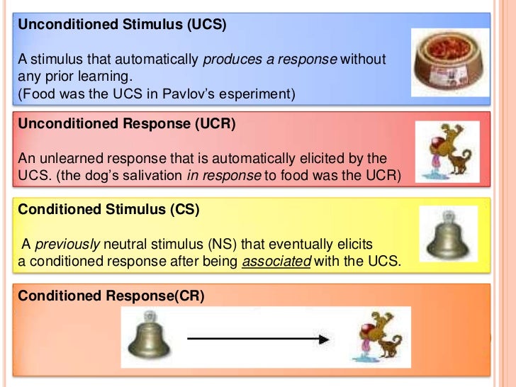 classical conditioning classical conditioning examples