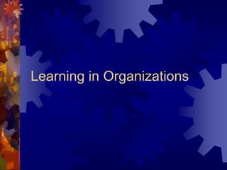Learning in Organizations
 