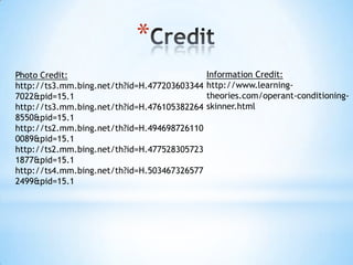 *
Photo Credit:
http://ts3.mm.bing.net/th?id=H.477203603344
7022&pid=15.1
http://ts3.mm.bing.net/th?id=H.476105382264
8550&pid=15.1
http://ts2.mm.bing.net/th?id=H.494698726110
0089&pid=15.1
http://ts2.mm.bing.net/th?id=H.477528305723
1877&pid=15.1
http://ts4.mm.bing.net/th?id=H.503467326577
2499&pid=15.1
Information Credit:
http://www.learning-
theories.com/operant-conditioning-
skinner.html
 