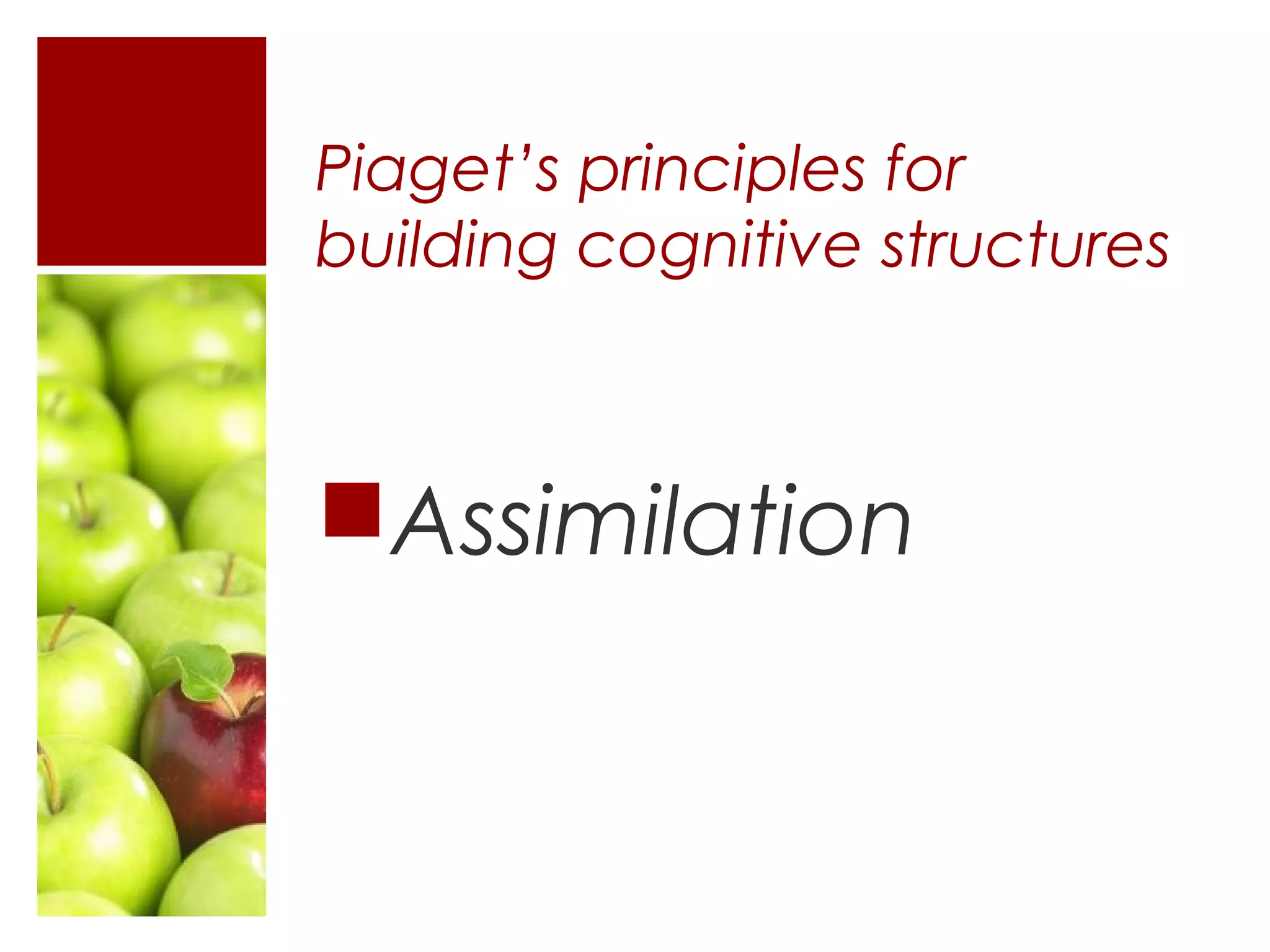 Piaget’s principles for
building cognitive structures



Assimilation
 