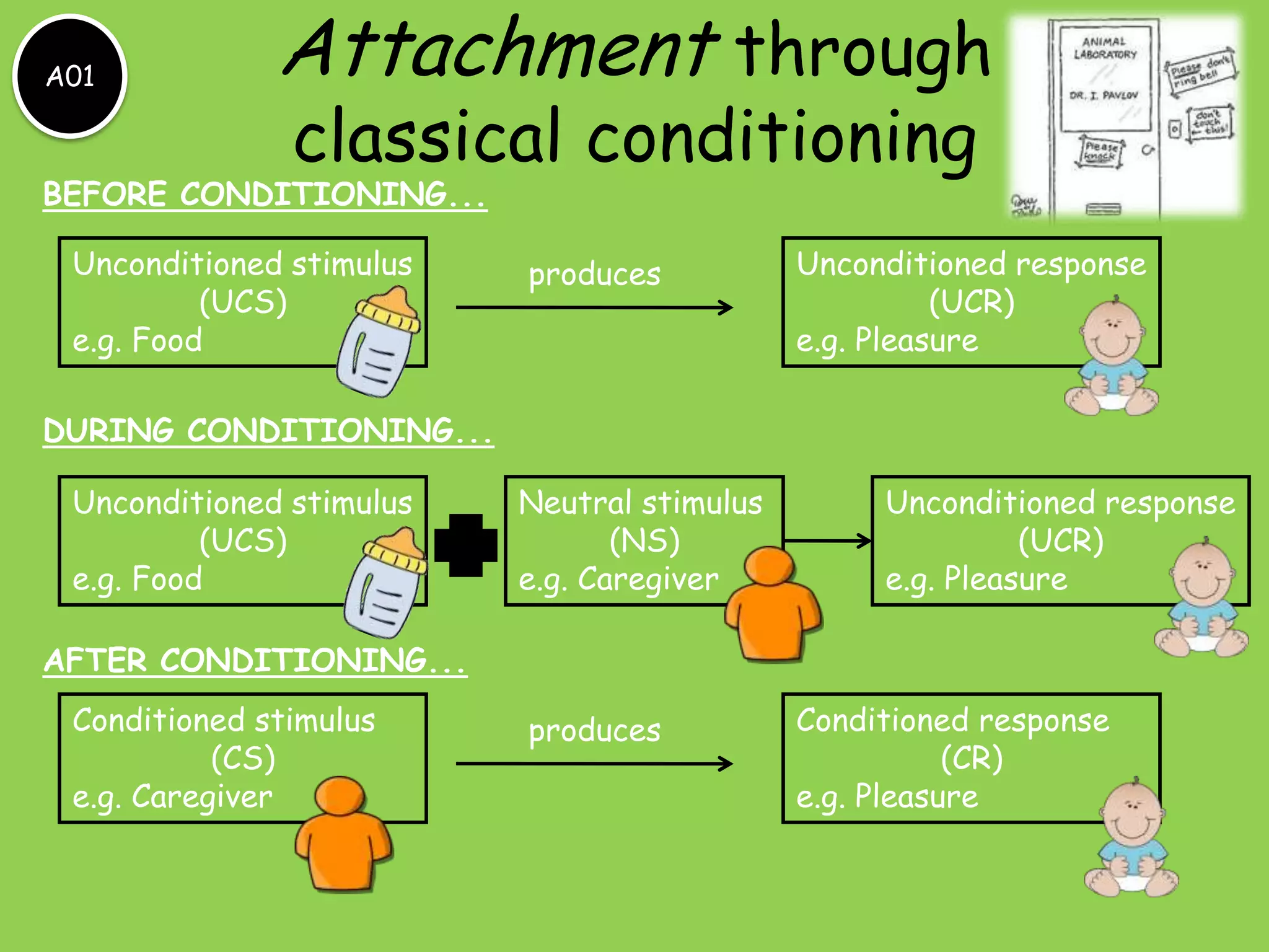 A01           Attachment through
               classical conditioning
BEFORE CONDITIONING...

 Unconditioned stimulus   produces           Unconditioned response
          (UCS)                                        (UCR)
 e.g. Food                                   e.g. Pleasure

DURING CONDITIONING...

 Unconditioned stimulus   Neutral stimulus        Unconditioned response
          (UCS)                  (NS)                       (UCR)
 e.g. Food                e.g. Caregiver          e.g. Pleasure

AFTER CONDITIONING...
 Conditioned stimulus     produces           Conditioned response
           (CS)                                         (CR)
 e.g. Caregiver                              e.g. Pleasure
 