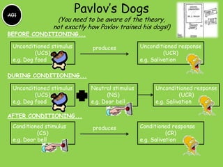 A01
                          Pavlov’s Dogs
                 (You need to be aware of the theory,
                not exactly how Pavlov trained his dogs!)
BEFORE CONDITIONING...

 Unconditioned stimulus      produces           Unconditioned response
          (UCS)                                           (UCR)
 e.g. Dog food                                  e.g. Salivation

DURING CONDITIONING...

 Unconditioned stimulus      Neutral stimulus        Unconditioned response
          (UCS)                     (NS)                       (UCR)
 e.g. Dog food               e.g. Door bell          e.g. Salivation

AFTER CONDITIONING...
 Conditioned stimulus        produces           Conditioned response
           (CS)                                            (CR)
 e.g. Door bell                                 e.g. Salivation
 