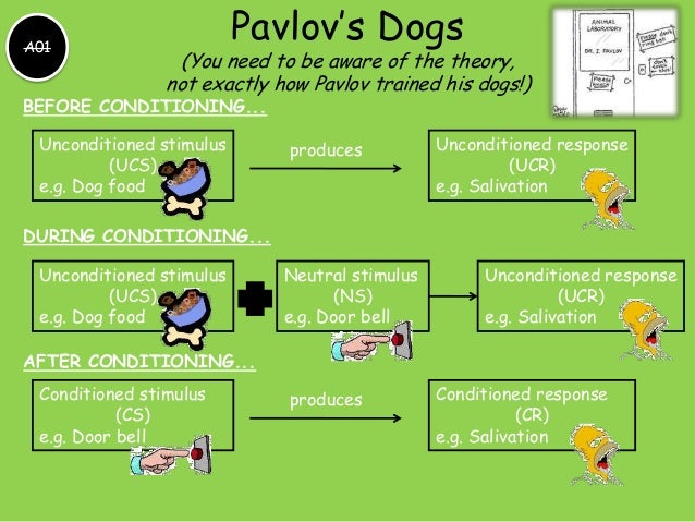 Pavlov s Stimulus Substitution Theory