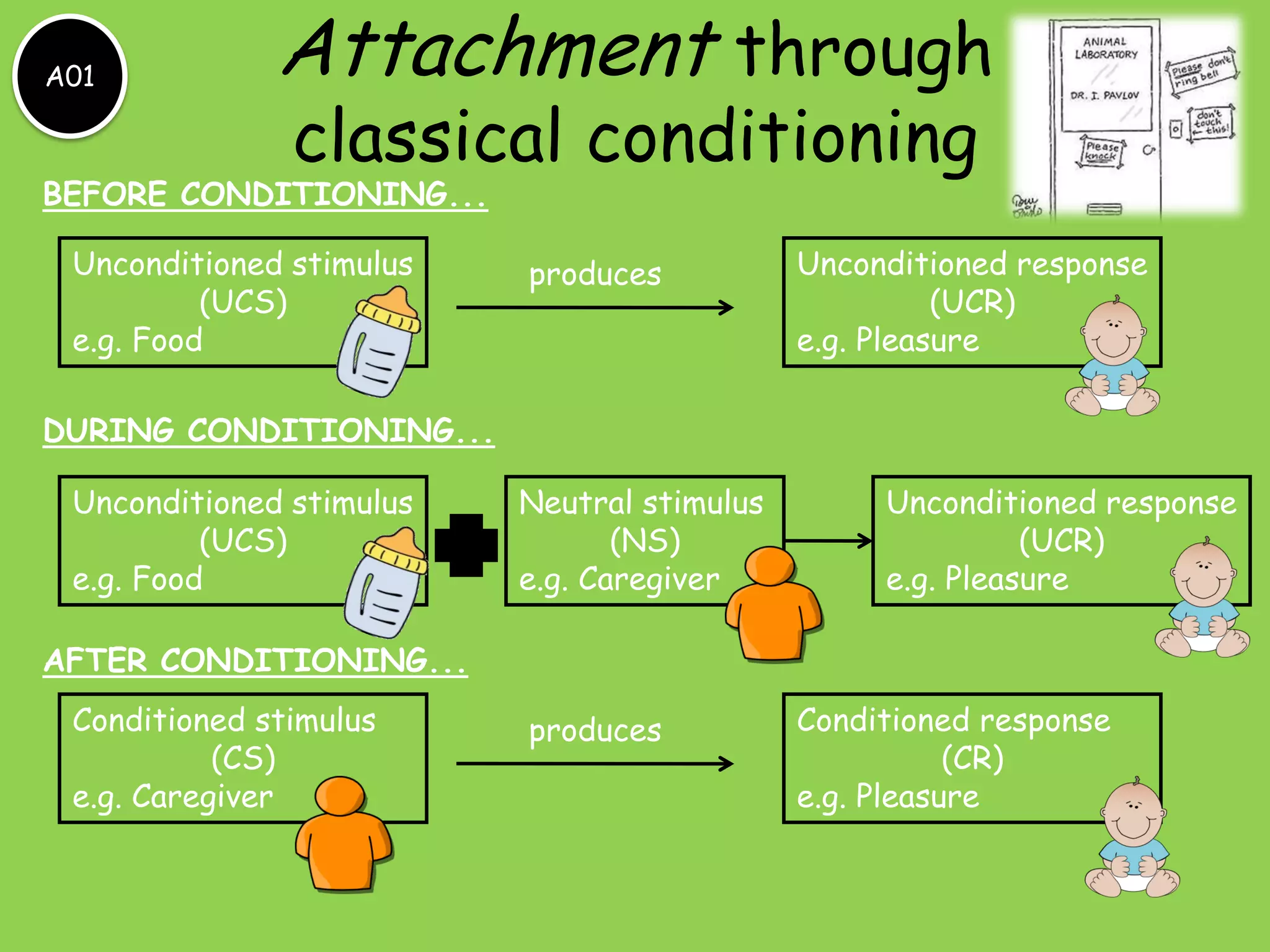 A01

Attachment through
classical conditioning

BEFORE CONDITIONING...
Unconditioned stimulus
(UCS)
e.g. Food

produces

Unconditioned response
(UCR)
e.g. Pleasure

DURING CONDITIONING...
Unconditioned stimulus
(UCS)
e.g. Food

Neutral stimulus
(NS)
e.g. Caregiver

Unconditioned response
(UCR)
e.g. Pleasure

AFTER CONDITIONING...
Conditioned stimulus
(CS)
e.g. Caregiver

produces

Conditioned response
(CR)
e.g. Pleasure

 