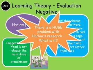 A02

Learning Theory – Evaluation
Negative

Found that rhesus
monkeys who were
Harlow (1959)
There is a separated from their
HUGE
problem with after birth and
mothers
were placed
Harlow’s research – in a cage
with ‘wire’ mothers went
What is it?
Suggests that
to the ‘mother’ who
food is not
offered comfort rather
always the
then food
main drive
of
attachment

 