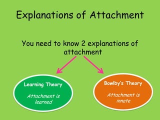 Explanations of Attachment
You need to know 2 explanations of
attachment

Learning Theory

Bowlby’s Theory

Attachment is
learned

Attachment is
innate

 