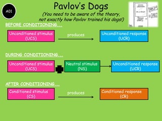 A01

Pavlov’s Dogs

(You need to be aware of the theory,
not exactly how Pavlov trained his dogs!)

BEFORE CONDITIONING...
Unconditioned stimulus
(UCS)

produces

Unconditioned response
(UCR)

DURING CONDITIONING...
Unconditioned stimulus
(UCS)

Neutral stimulus
(NS)

Unconditioned response
(UCR)

AFTER CONDITIONING...
Conditioned stimulus
(CS)

produces

Conditioned response
(CR)

 