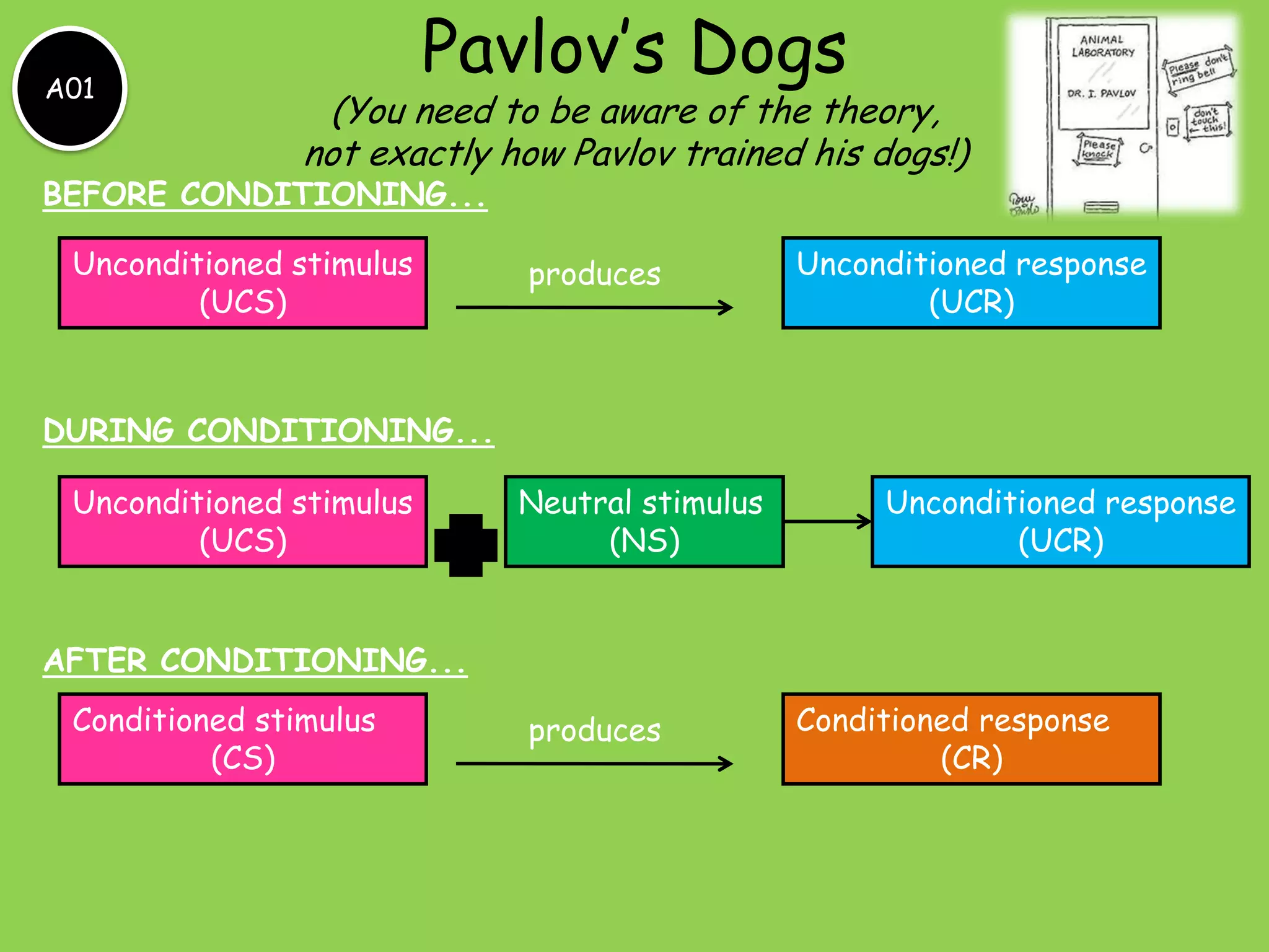 A01

Pavlov’s Dogs

(You need to be aware of the theory,
not exactly how Pavlov trained his dogs!)

BEFORE CONDITIONING...
Unconditioned stimulus
(UCS)

produces

Unconditioned response
(UCR)

DURING CONDITIONING...
Unconditioned stimulus
(UCS)

Neutral stimulus
(NS)

Unconditioned response
(UCR)

AFTER CONDITIONING...
Conditioned stimulus
(CS)

produces

Conditioned response
(CR)

 