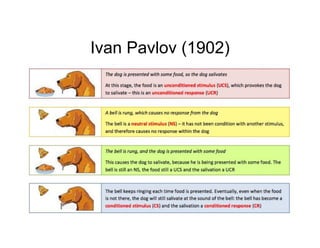 Learning Theory | Psychology | PDF
