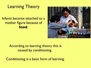Infants become attached to a mother figure because of  food . According to learning theory this is caused by conditioning.  Conditioning is a basic form of learning. Learning Theory 