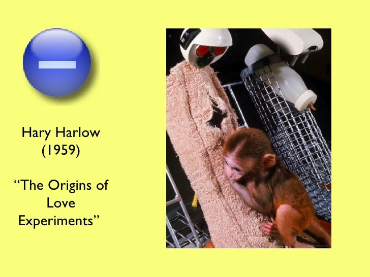 learning-theory-explanation-of-attachment