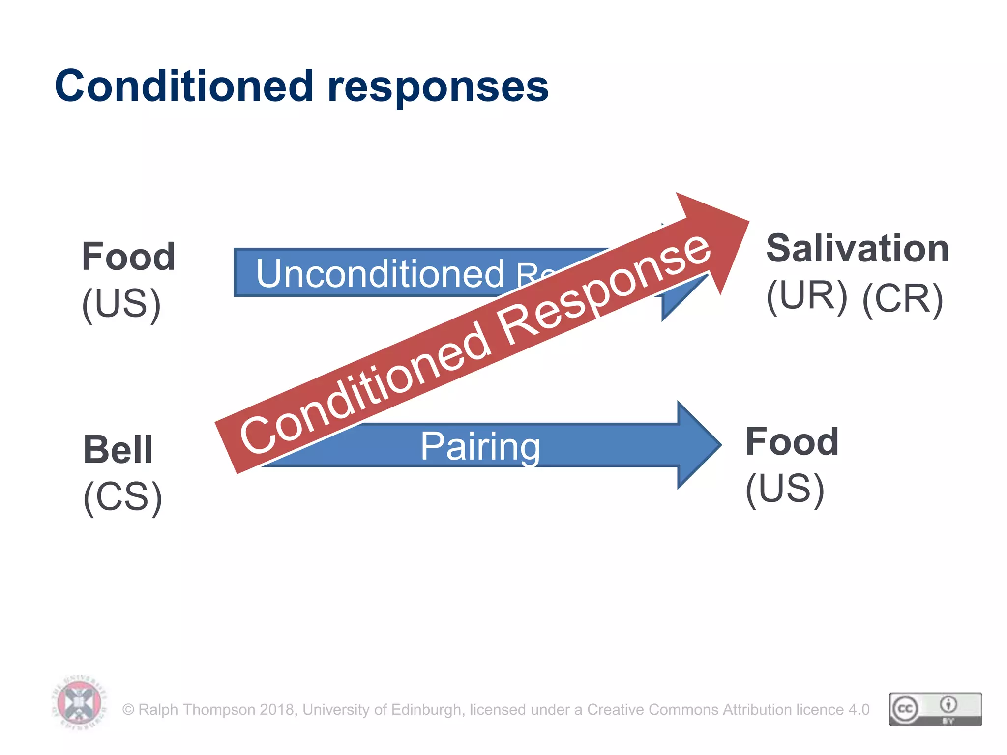 © Ralph Thompson 2018, University of Edinburgh, licensed under a Creative Commons Attribution licence 4.0
Conditioned responses
Bell
(CS)
Food
(US)
Food
(US)
Salivation
(UR)
Pairing
Unconditioned Response
(CR)
 
