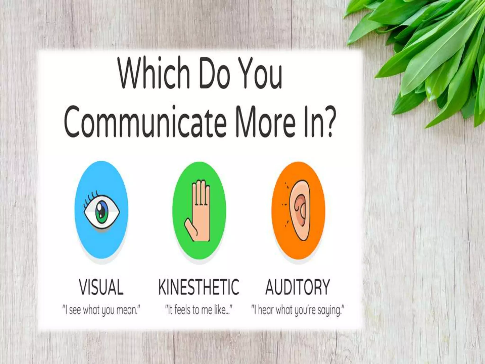 Learning/Thinking Styles and Multiple Intelligences