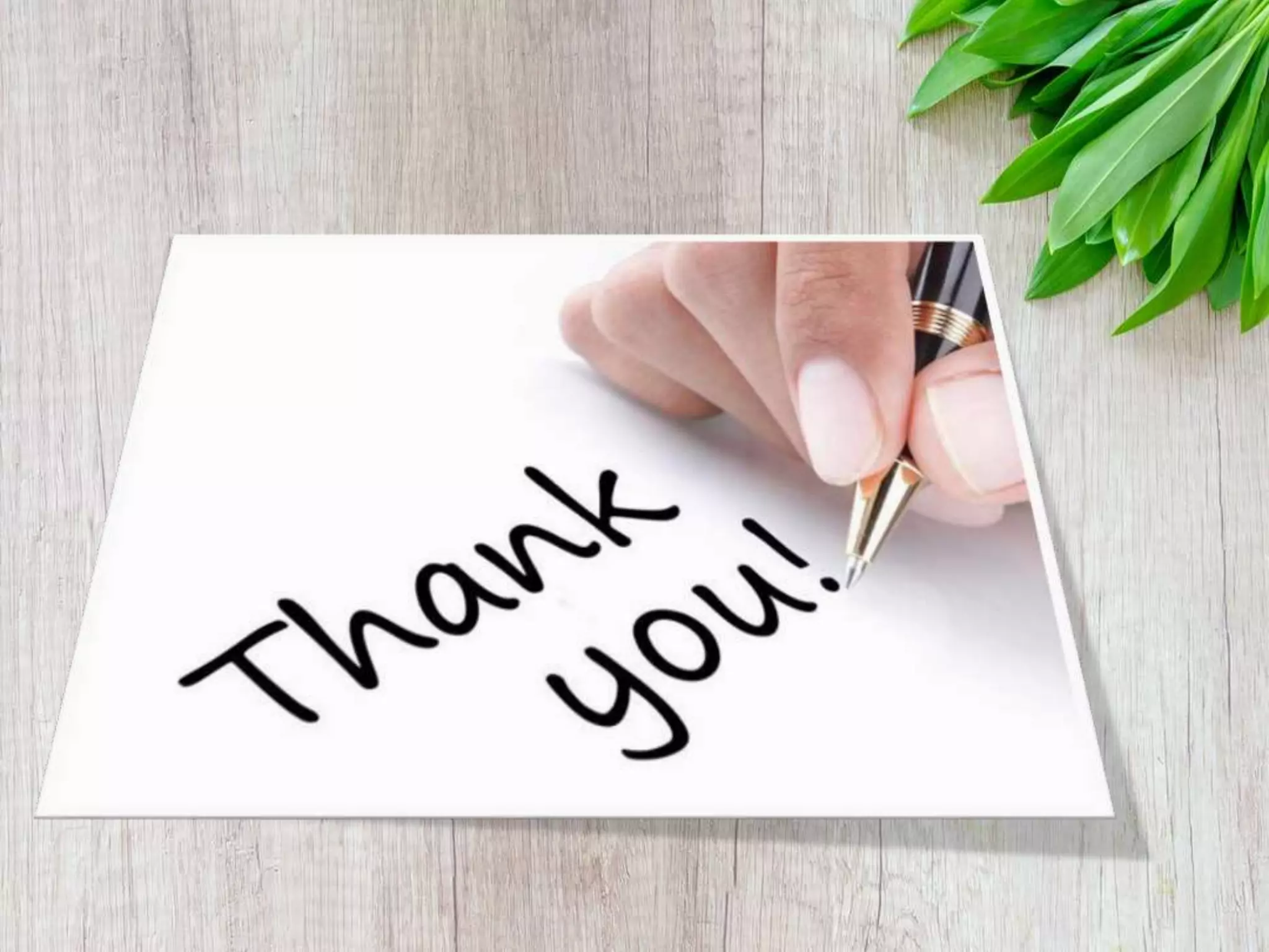 Learning/Thinking Styles and Multiple Intelligences