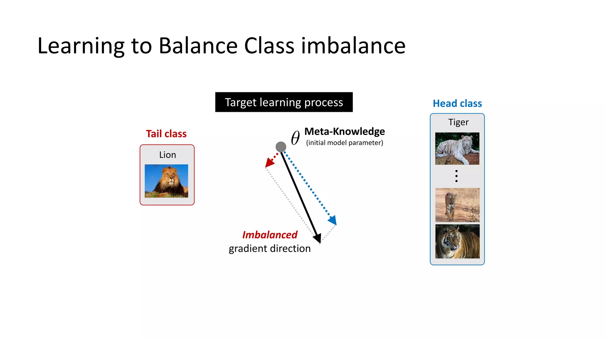 Learning to Balance Class imbalance
Tiger
…
Head class
Imbalanced
gradient direction
Lion
Tail class Meta-Knowledge
(initial model parameter)
Target learning process
 