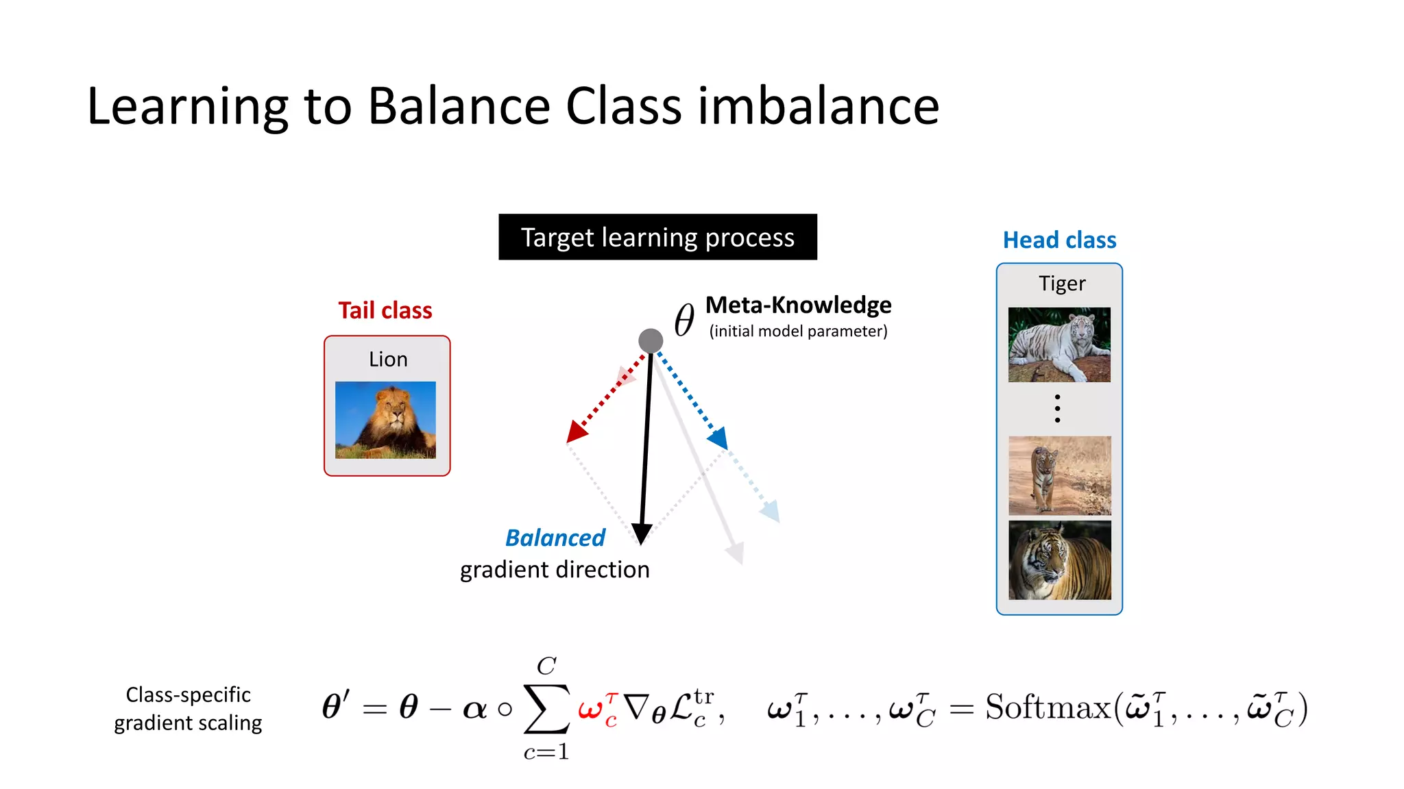 Learning to Balance Class imbalance
Tiger
…
Head class
Balanced
gradient direction
Lion
Tail class Meta-Knowledge
(initial model parameter)
Target learning process
Class-specific
gradient scaling
 