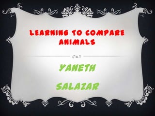 LEARNING TO COMPARE
      ANIMALS


     Yaneth
     Salazar
 
