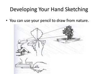 Developing Your Hand Sketching
• You can use your pencil to draw from nature.
 