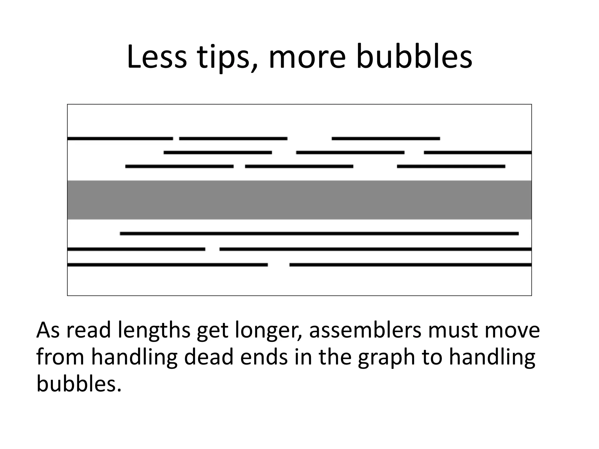 Less tips, more bubbles
As read lengths get longer, assemblers must move
from handling dead ends in the graph to handling
bubbles.
 