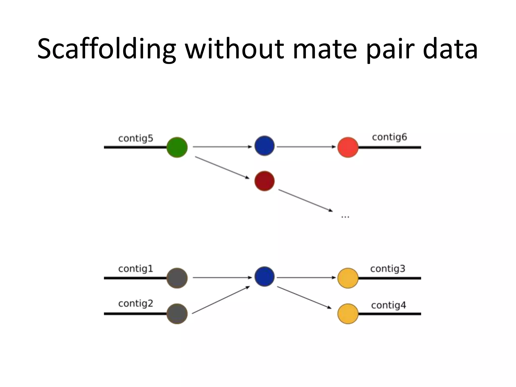Scaffolding without mate pair data
 
