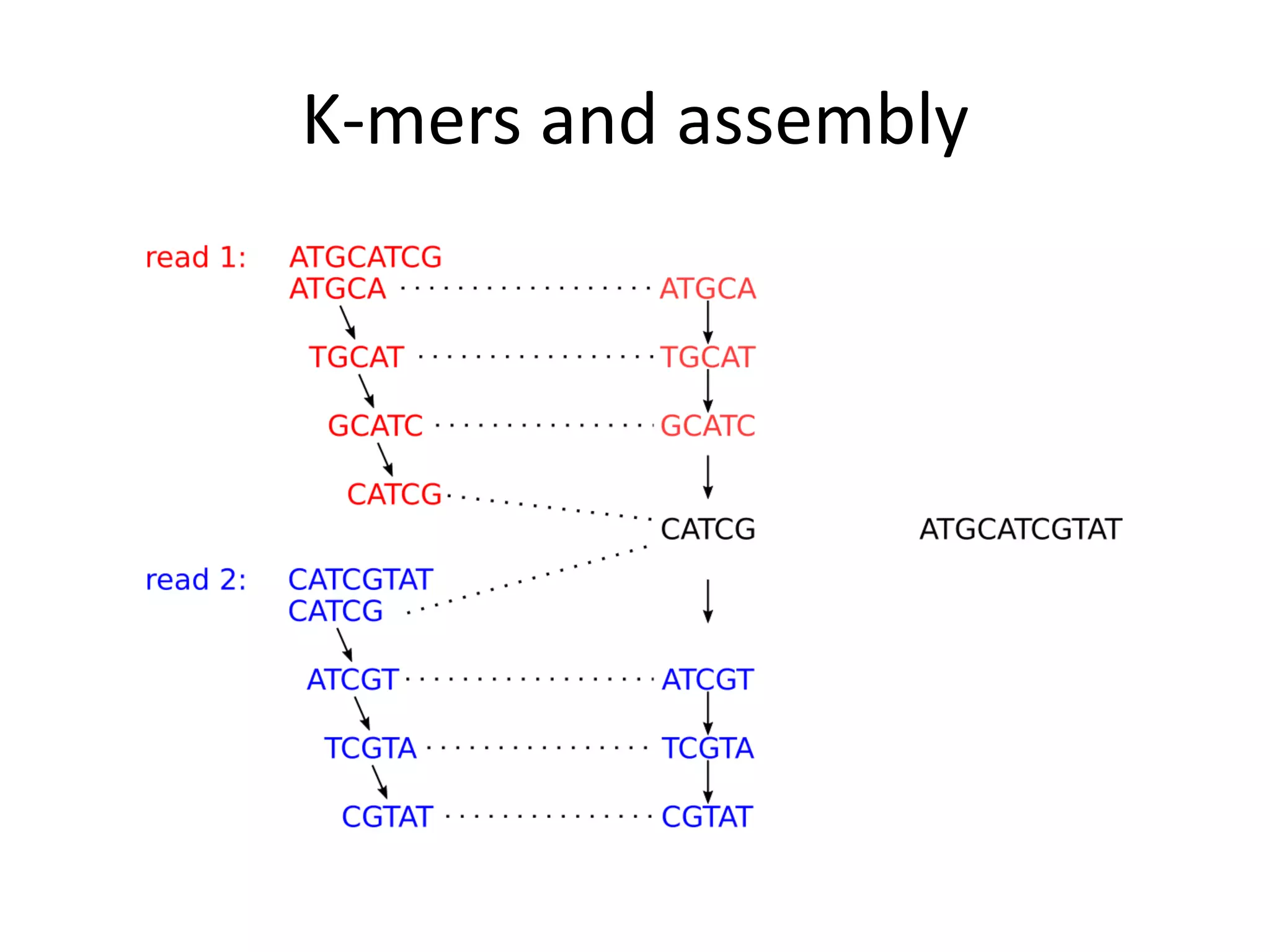 K-mers and assembly
 