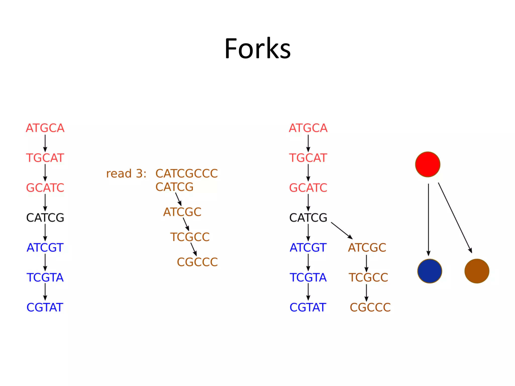 Forks
 