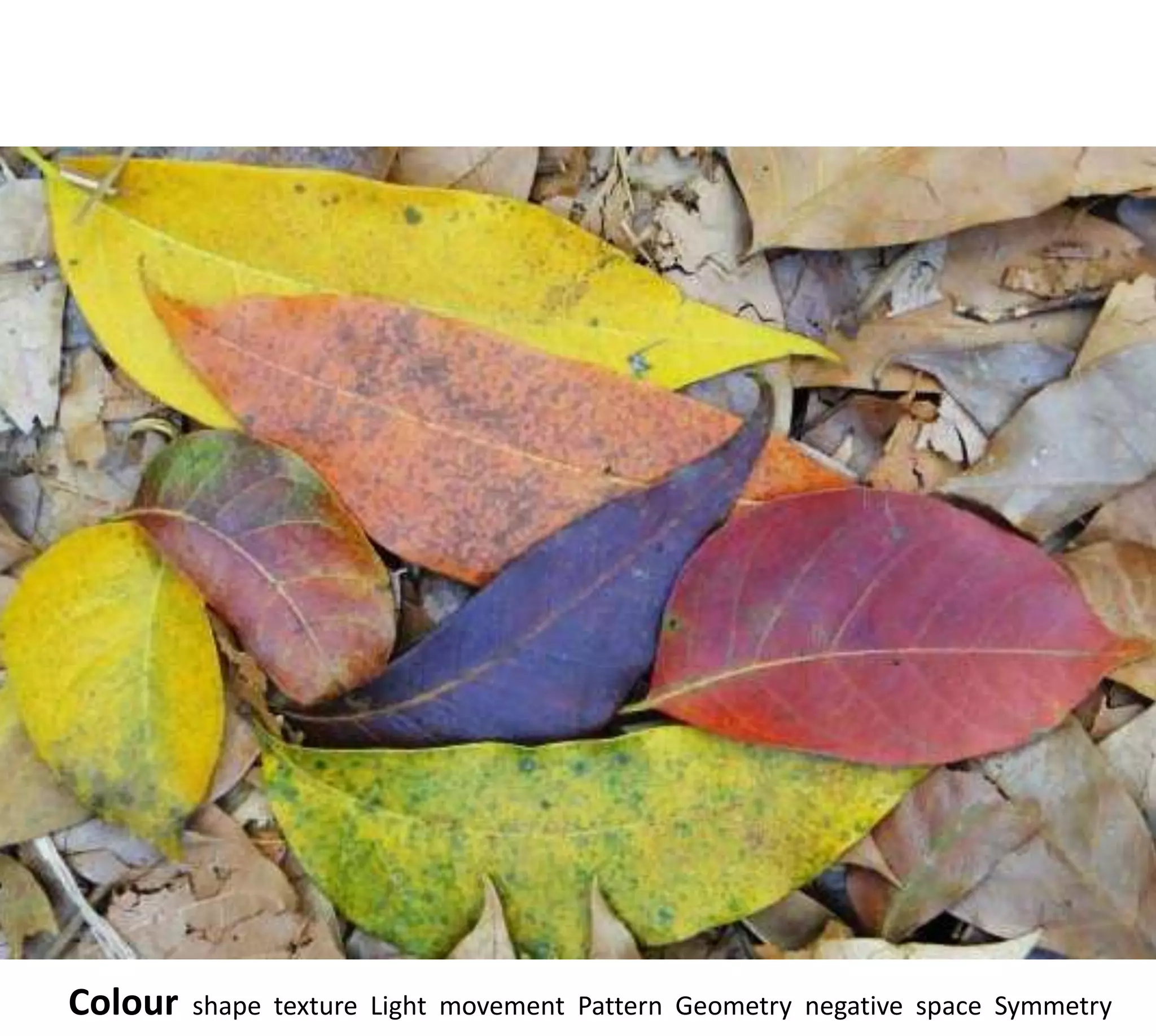 Colour   shape texture Light movement Pattern Geometry negative space Symmetry
 