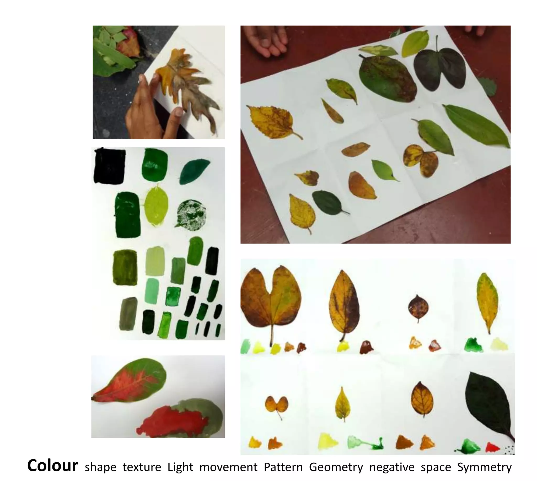 Colour   shape texture Light movement Pattern Geometry negative space Symmetry
 