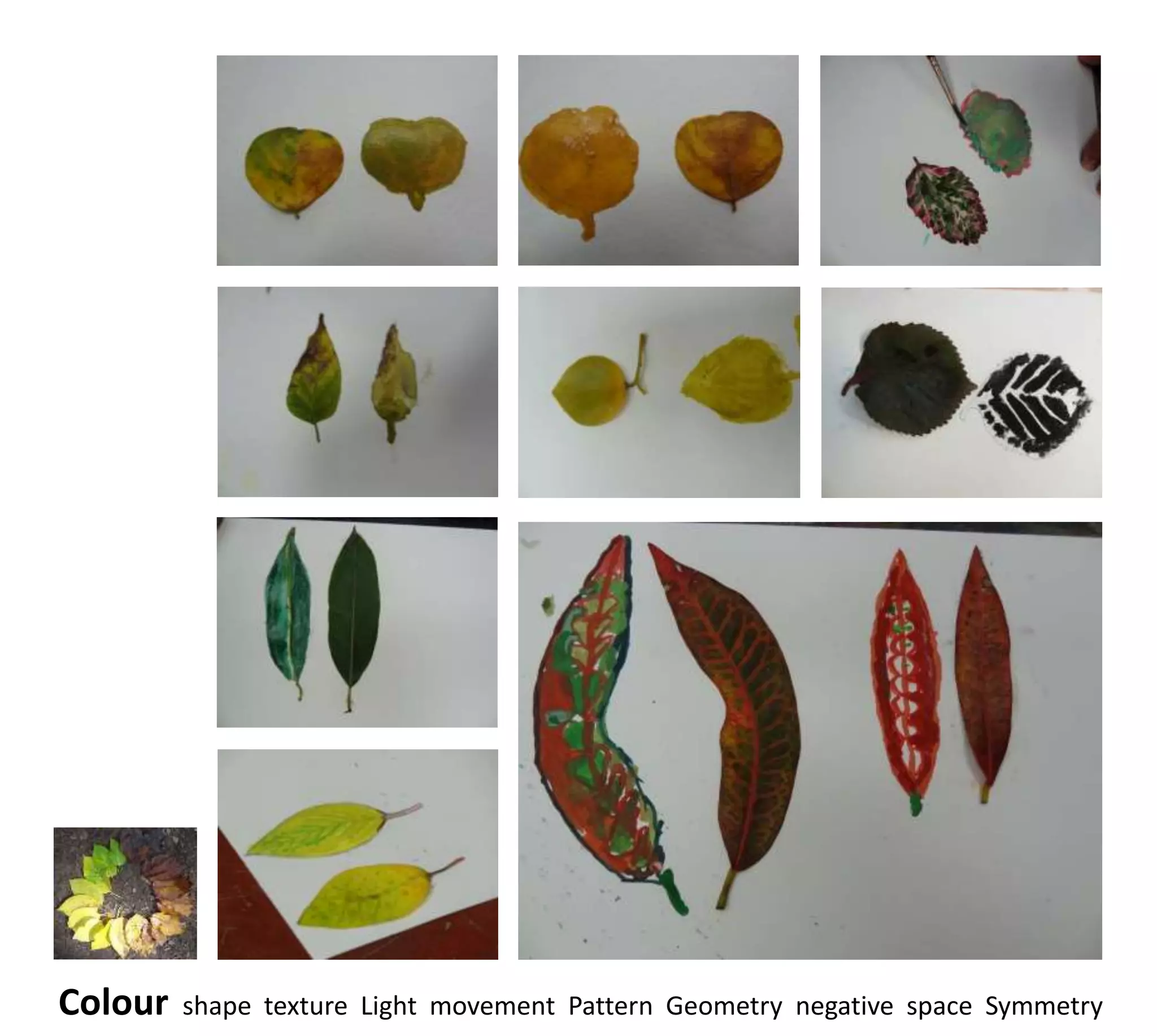 Colour   shape texture Light movement Pattern Geometry negative space Symmetry
 