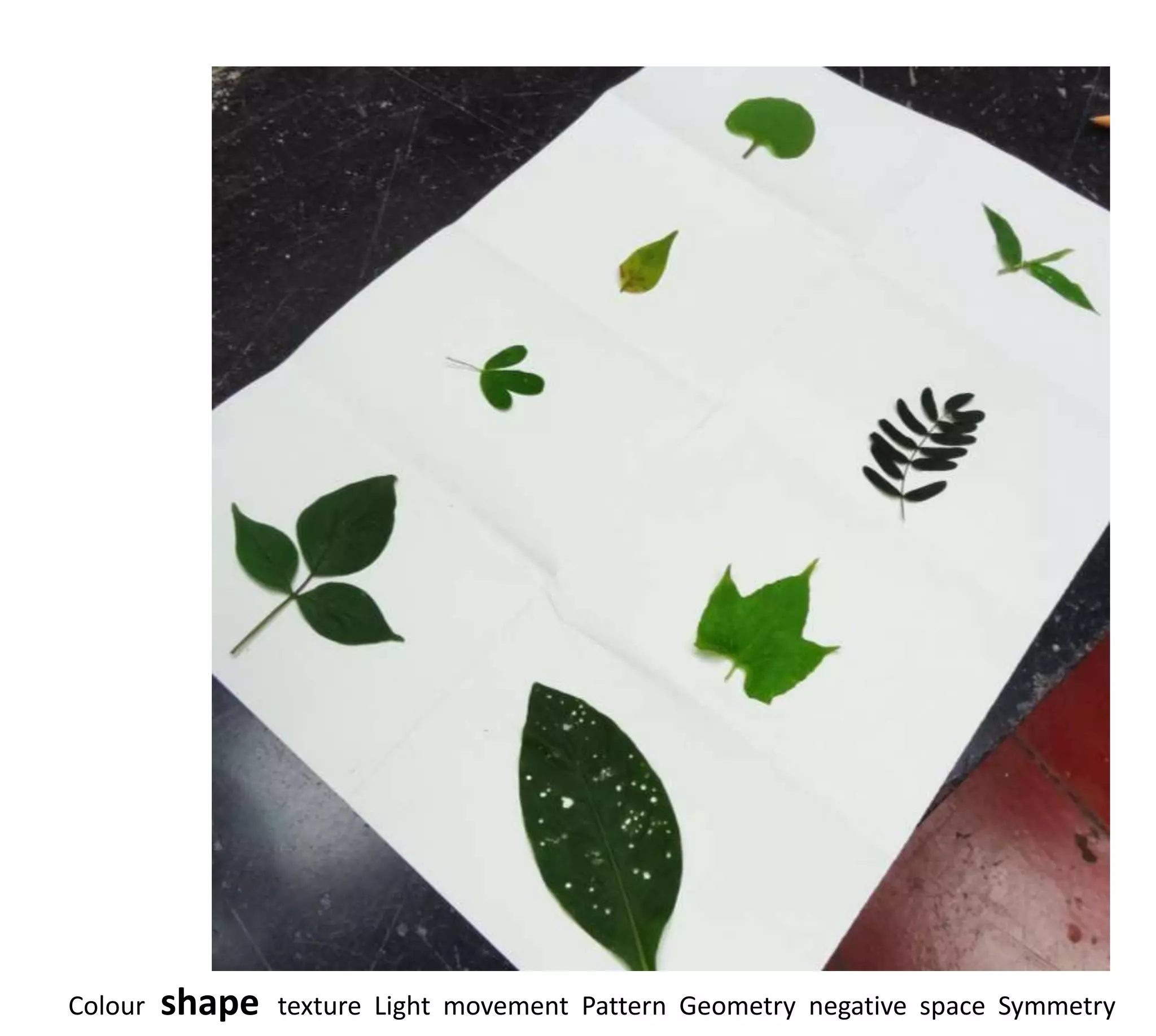 Colour   shape   texture Light movement Pattern Geometry negative space Symmetry
 