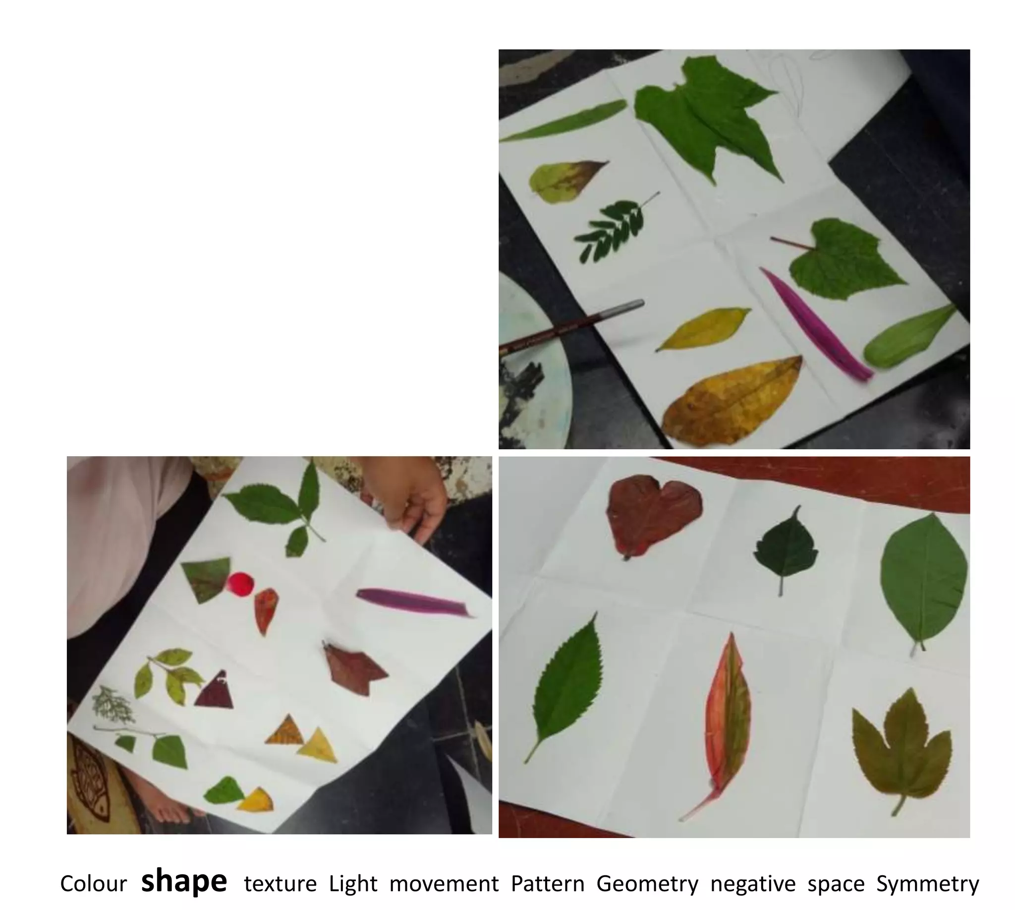 Colour   shape   texture Light movement Pattern Geometry negative space Symmetry
 