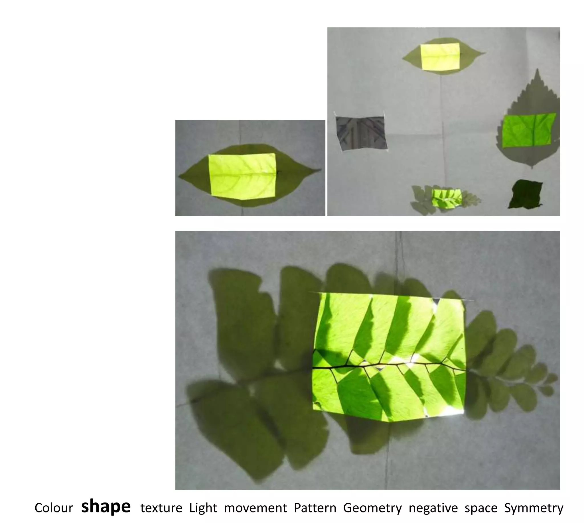 Colour   shape   texture Light movement Pattern Geometry negative space Symmetry
 