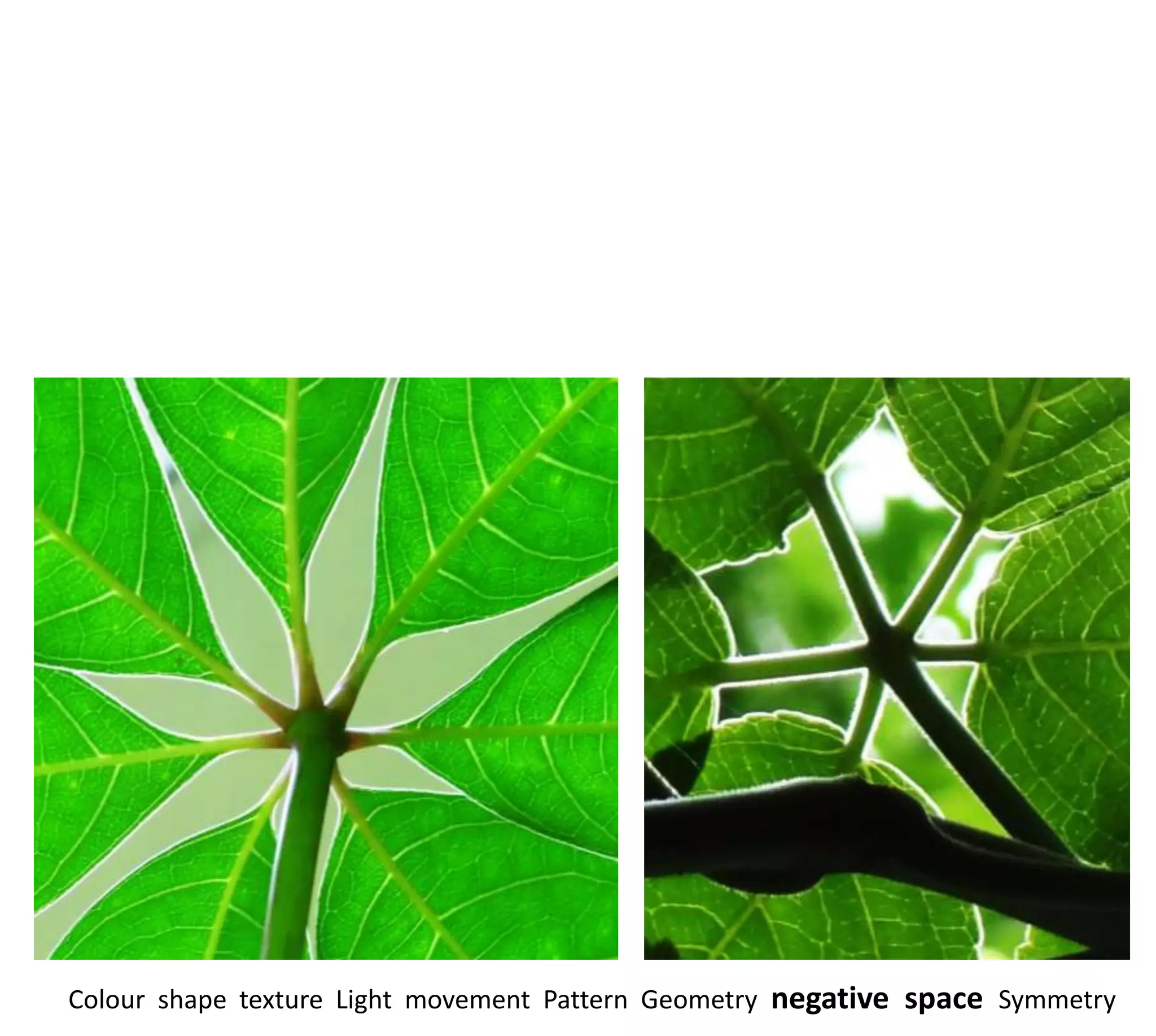 Colour shape texture Light movement Pattern Geometry negative space Symmetry
 