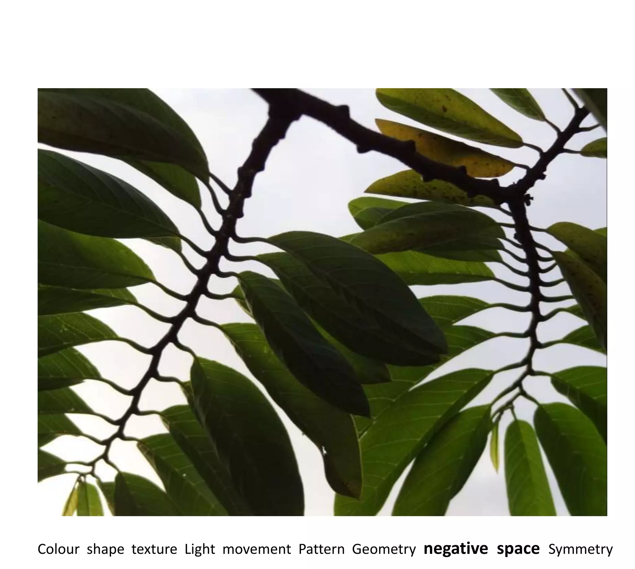 Colour shape texture Light movement Pattern Geometry negative space Symmetry
 