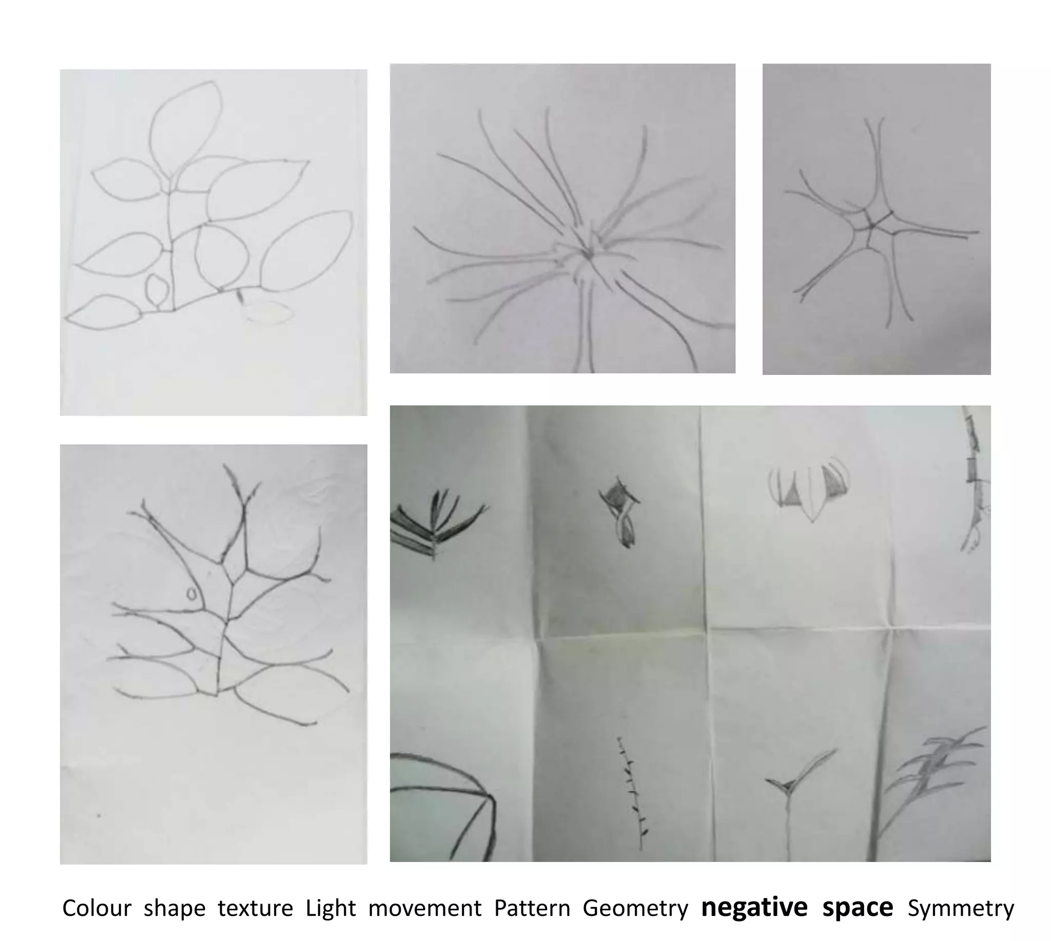 Colour shape texture Light movement Pattern Geometry negative space Symmetry
 