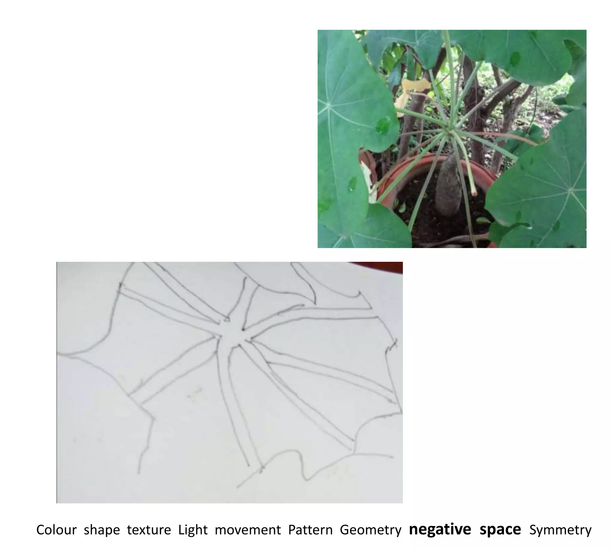 Colour shape texture Light movement Pattern Geometry negative space Symmetry
 