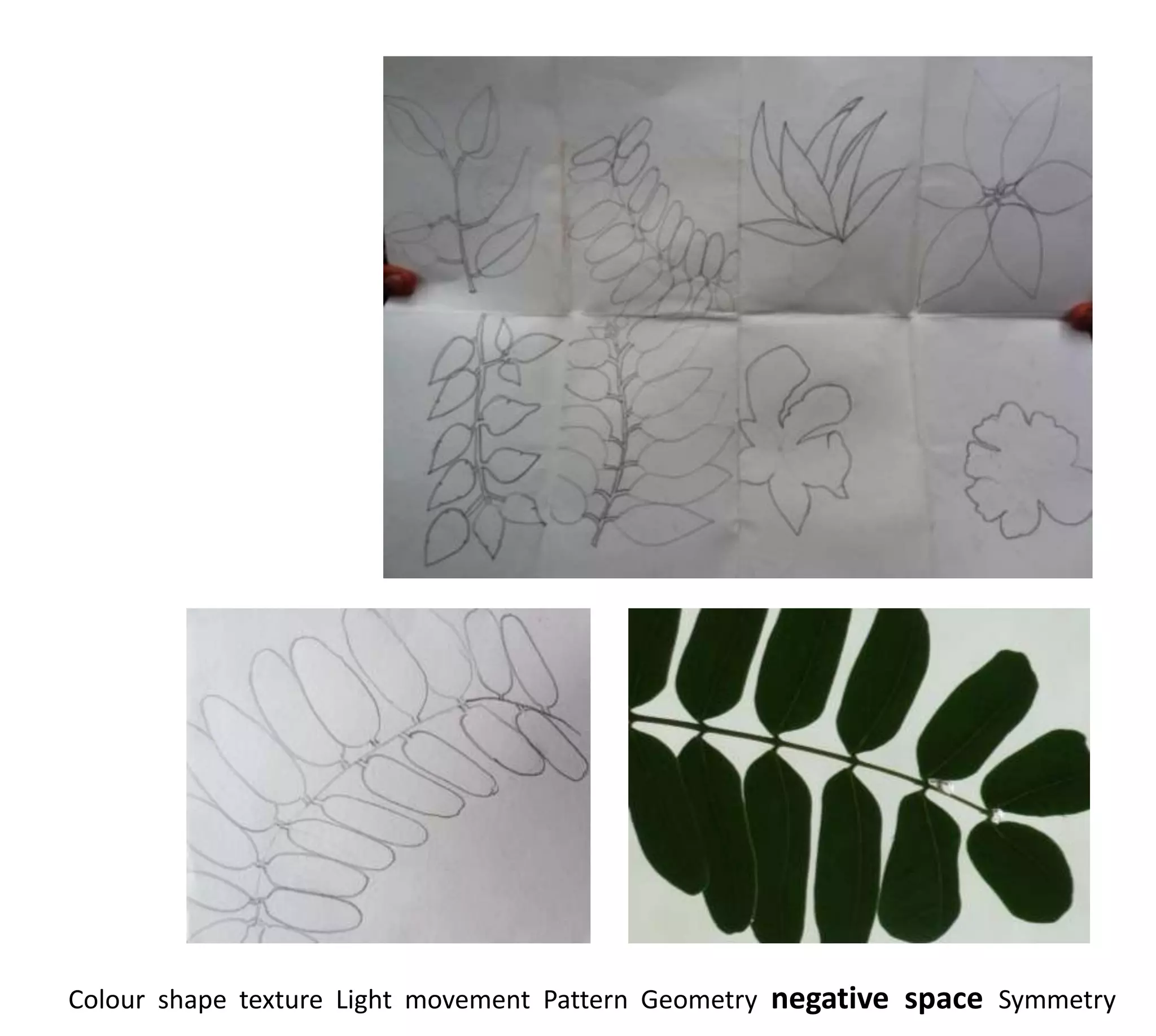 Colour shape texture Light movement Pattern Geometry negative space Symmetry
 